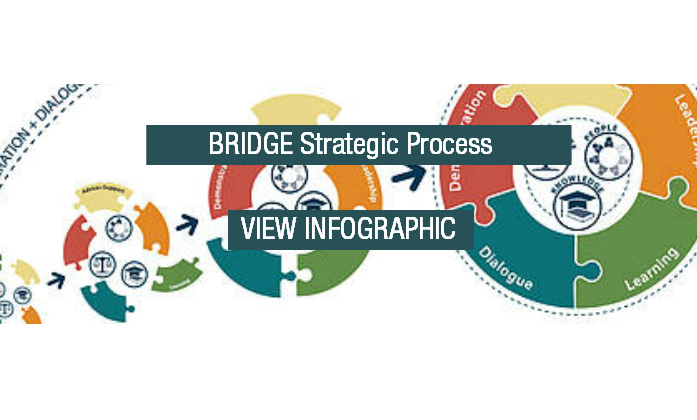 BRIDGE Strategic Process Download Button Transparent