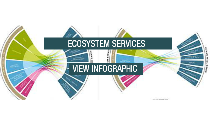 Ecosystem Services Download Button Transparent